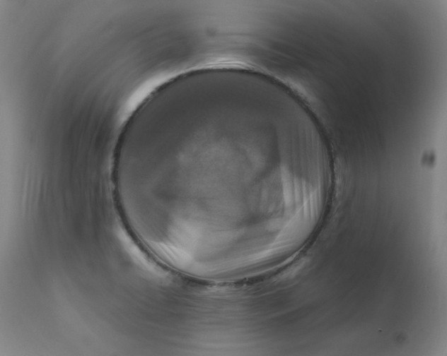 X0000112151422200909041053