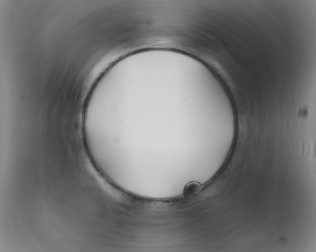 X0000112151424200909041053