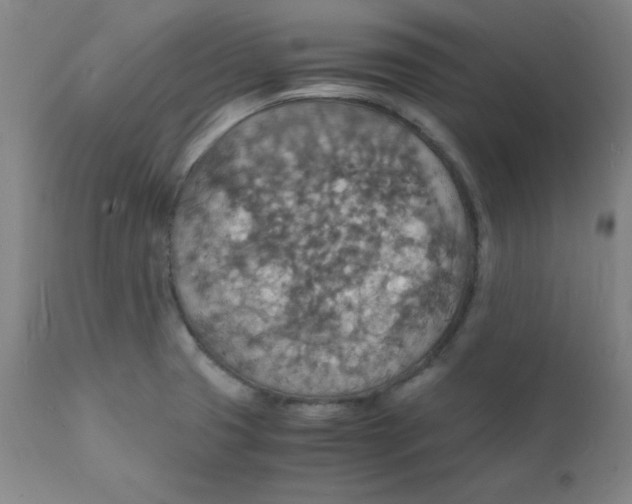 X0000112151425200909041053