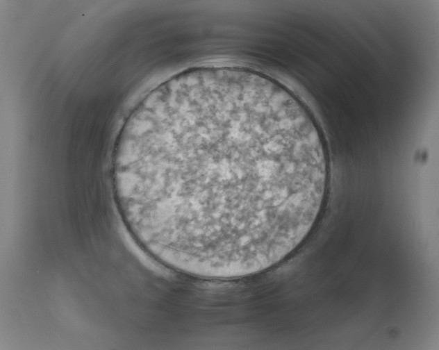 X0000112151429200909041053