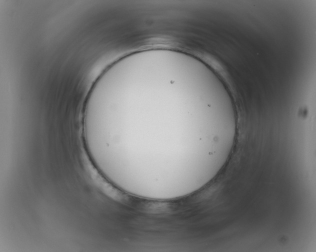 X0000112151431200909041053