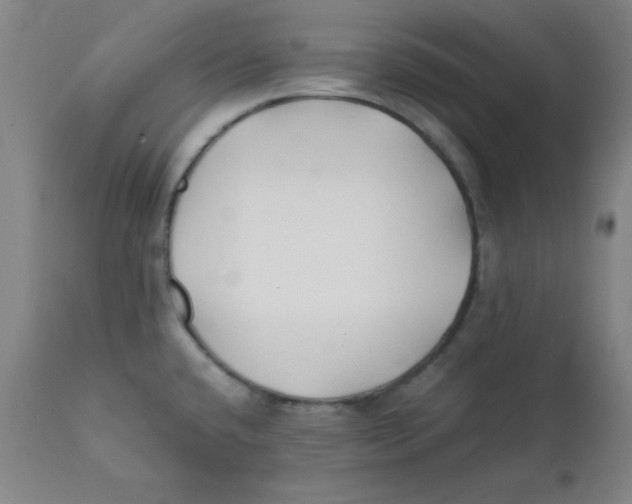 X0000112151432200909041053