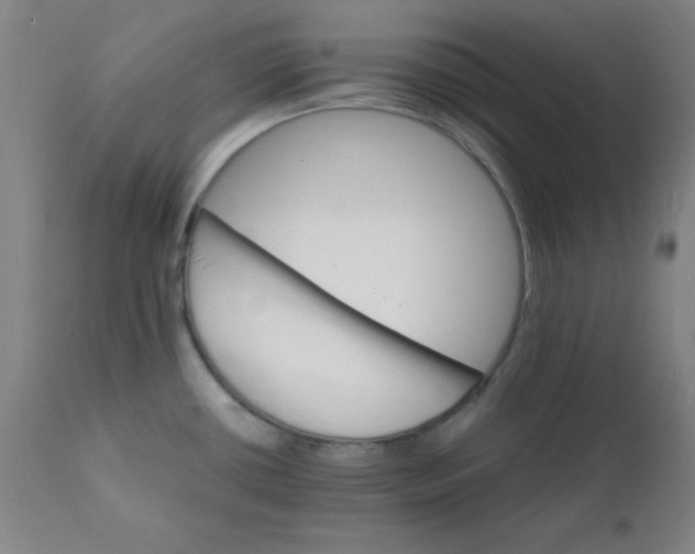 X0000112151434200909041053