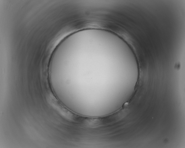 X0000112151435200909041053