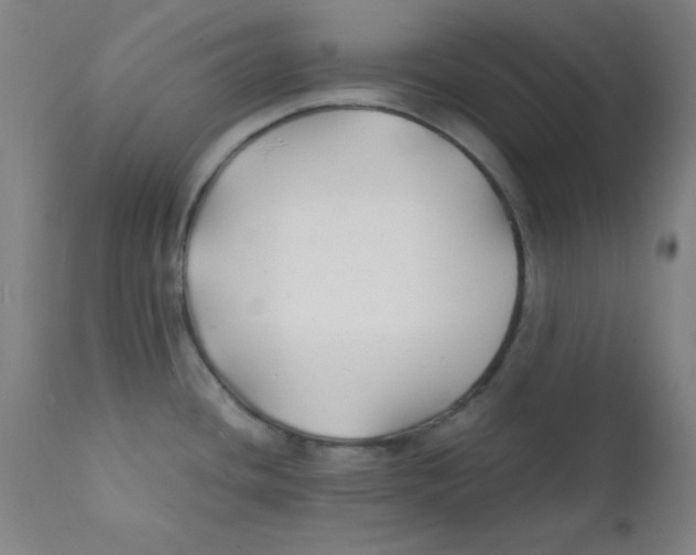 X0000112151436200909041053