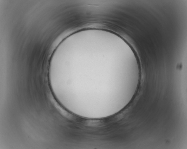 X0000112151437200909041053