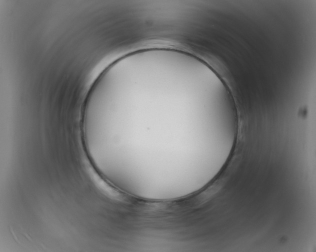 X0000112151438200909041053