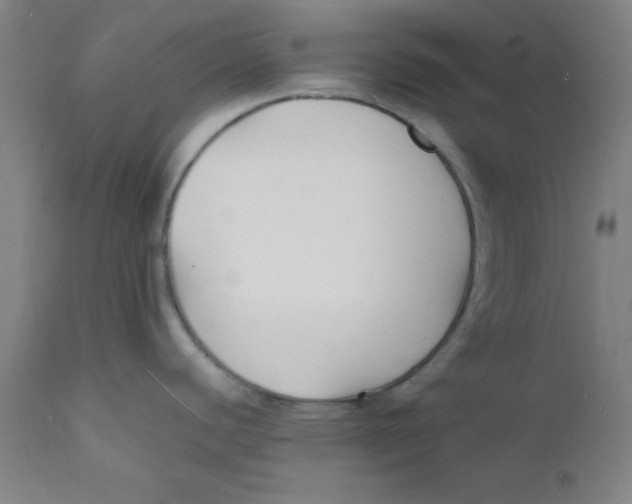 X0000112151440200909041053