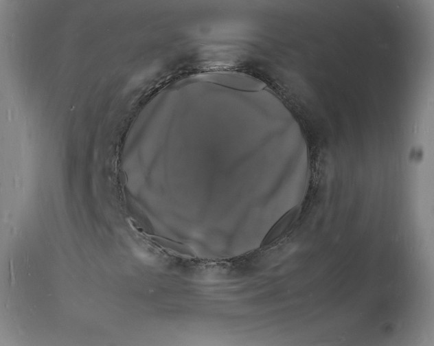 X0000112151441200909041052