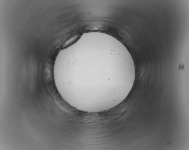 X0000112151442200909041052