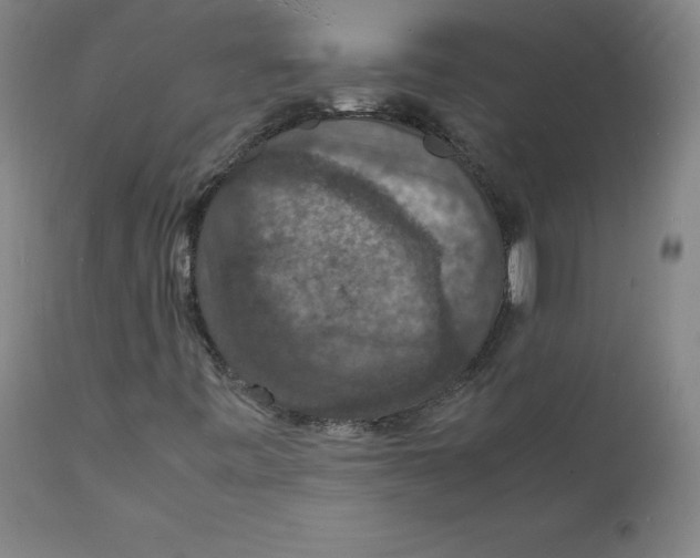 X0000112151443200909041052