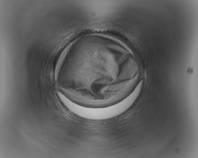 X0000112151444200909041052