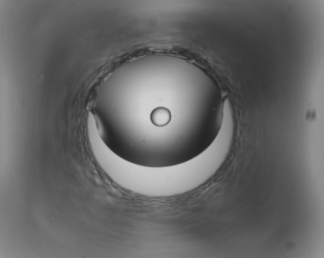 X0000112151445200909041052