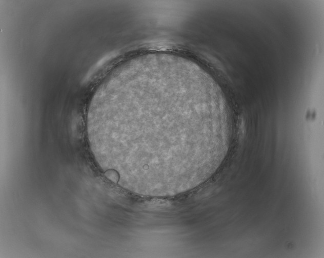 X0000112151446200909041052