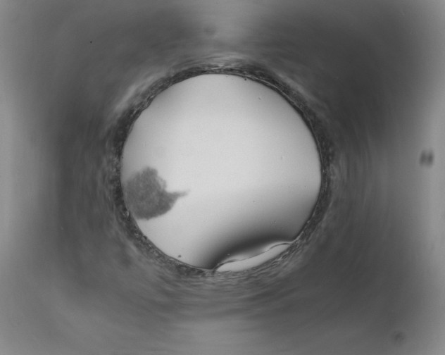 X0000112151447200909041052