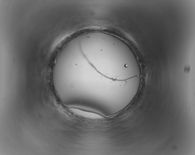 X0000112151448200909041052