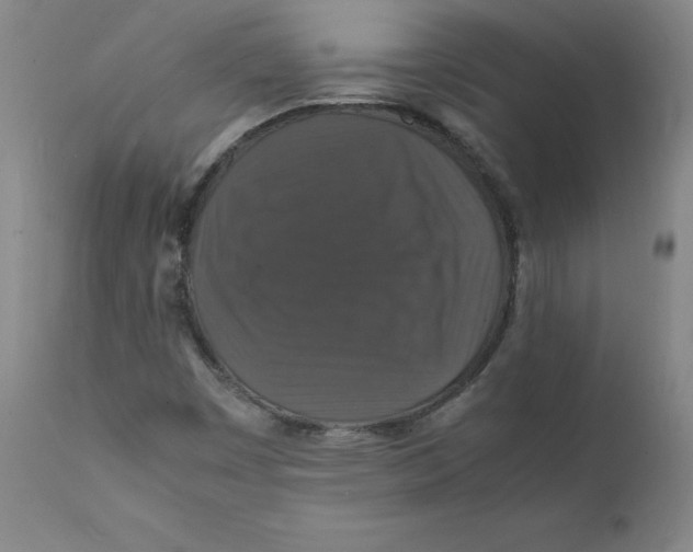 X0000112151449200909041052