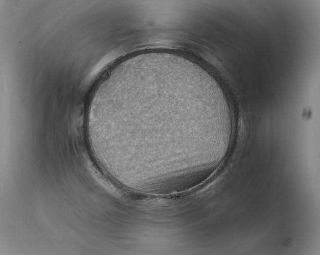 X0000112151450200909041052