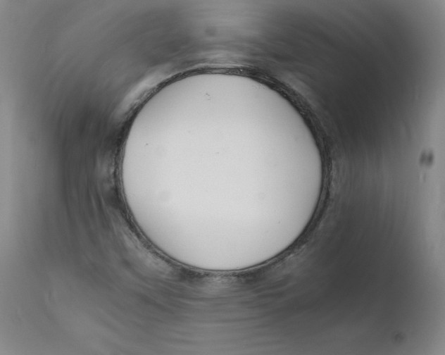 X0000112151451200909041052