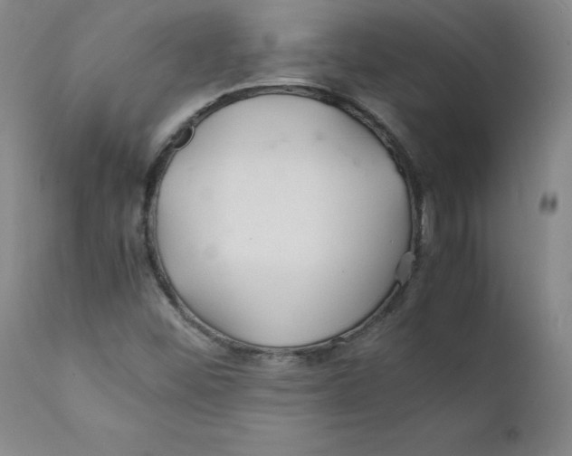 X0000112151452200909041052