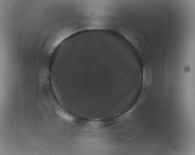 X0000112151453200909041052