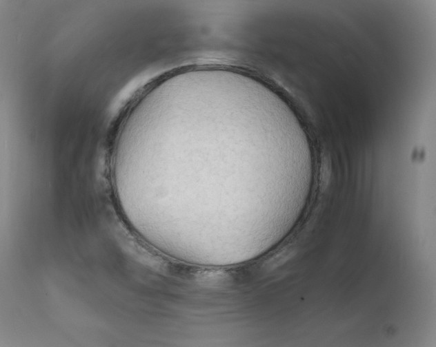 X0000112151454200909041052