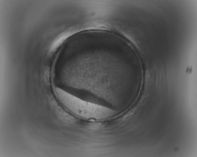 X0000112151455200909041052