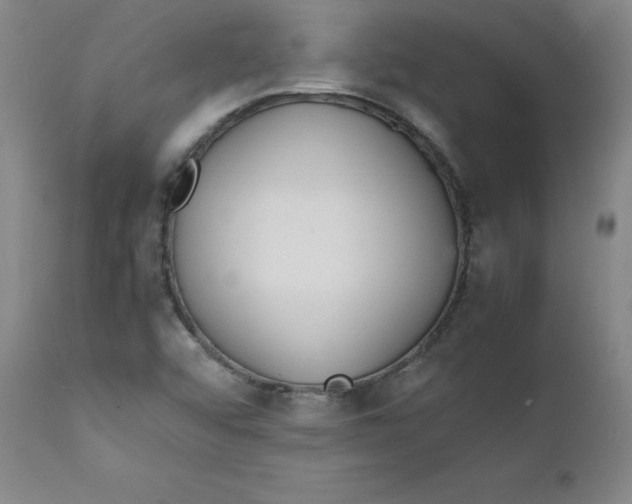 X0000112151456200909041052