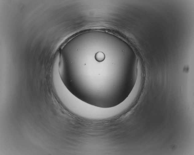 X0000112151457200909041052