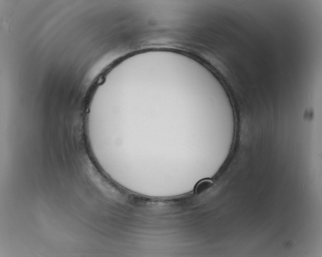 X0000112151458200909041052