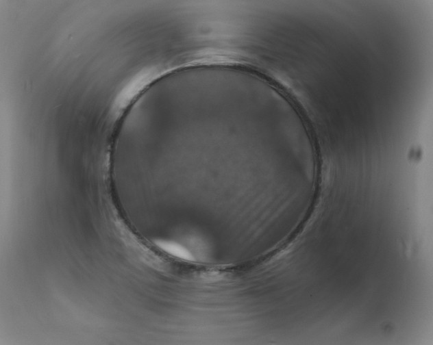 X0000112151459200909041052