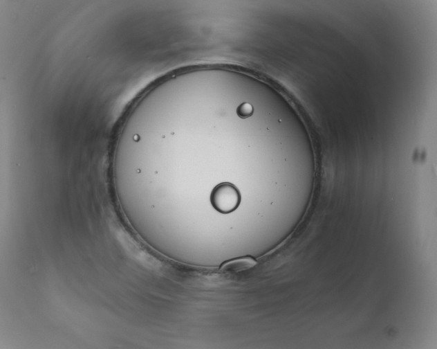 X0000112151460200909041052