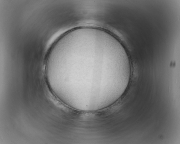 X0000112151462200909041052