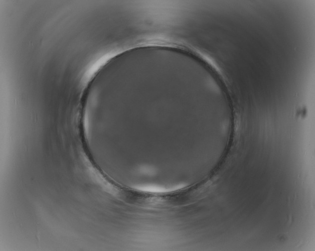 X0000112151463200909041052