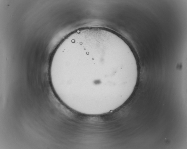 X0000112151464200909041052