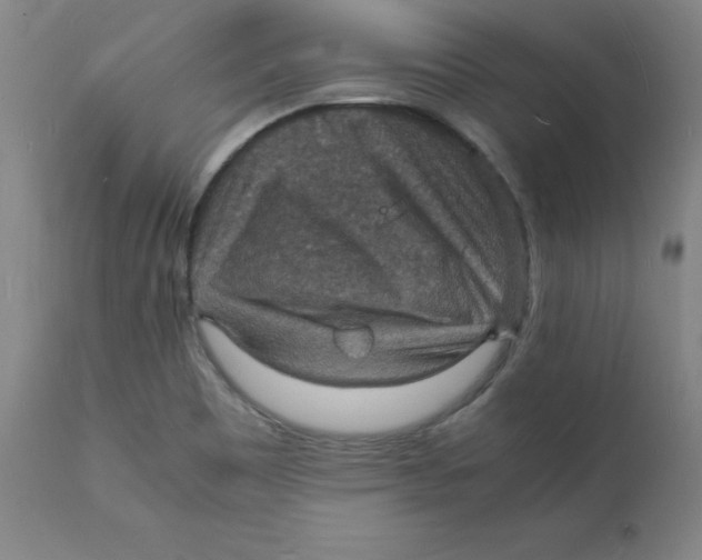 X0000112151465200909041052