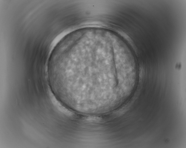 X0000112151466200909041052