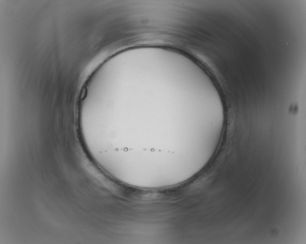 X0000112151467200909041052