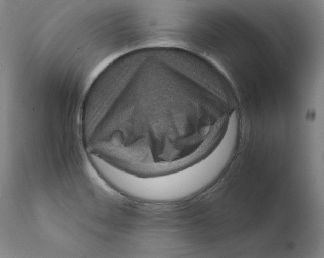 X0000112151468200909041052