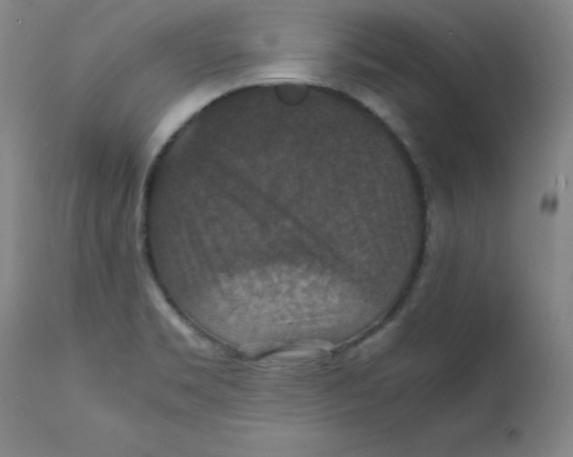 X0000112151469200909041052