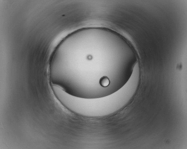 X0000112151472200909041052