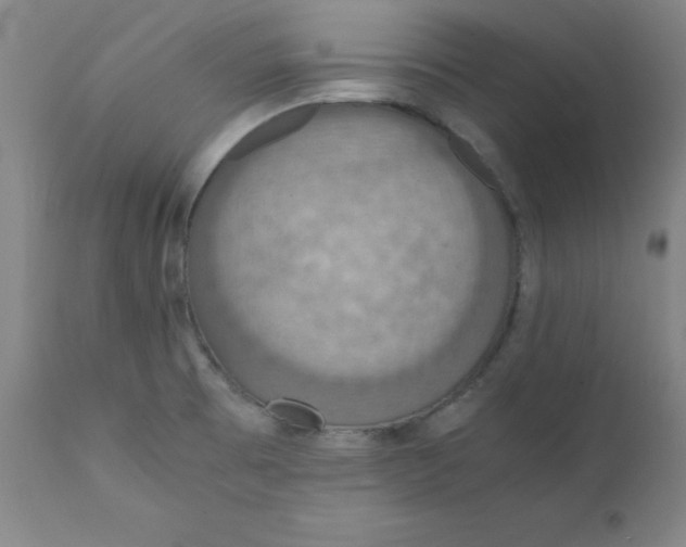 X0000112151473200909041052