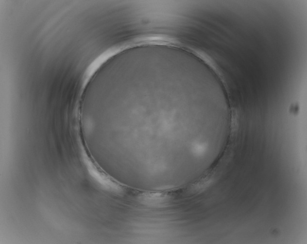 X0000112151474200909041051