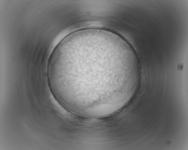 X0000112151475200909041051