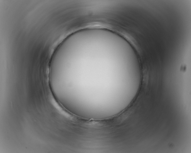 X0000112151476200909041051