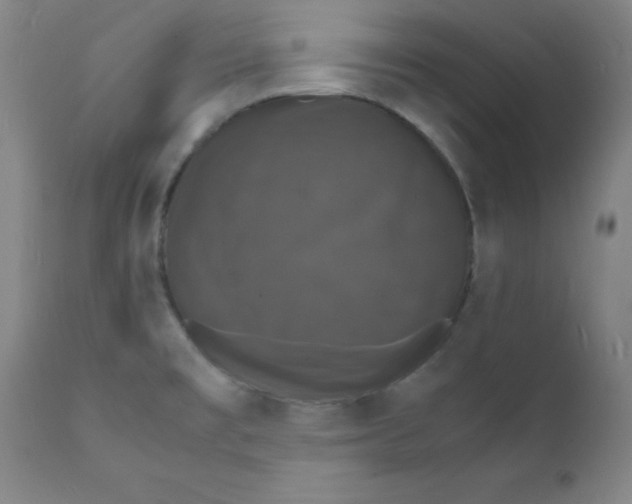 X0000112151477200909041051