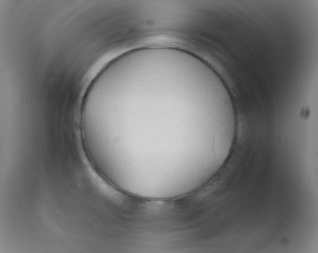 X0000112151478200909041051