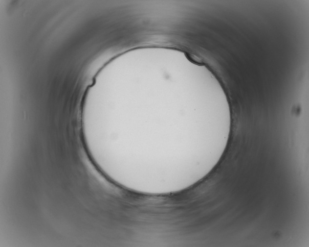 X0000112151479200909041051