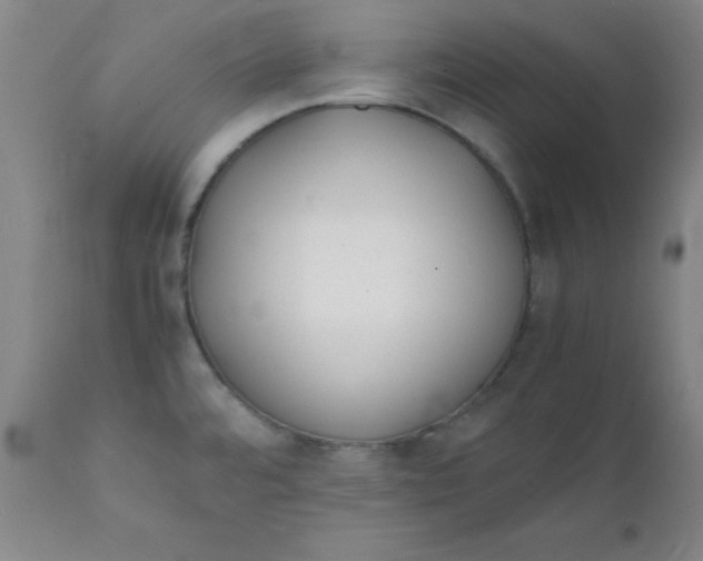 X0000112151480200909041051