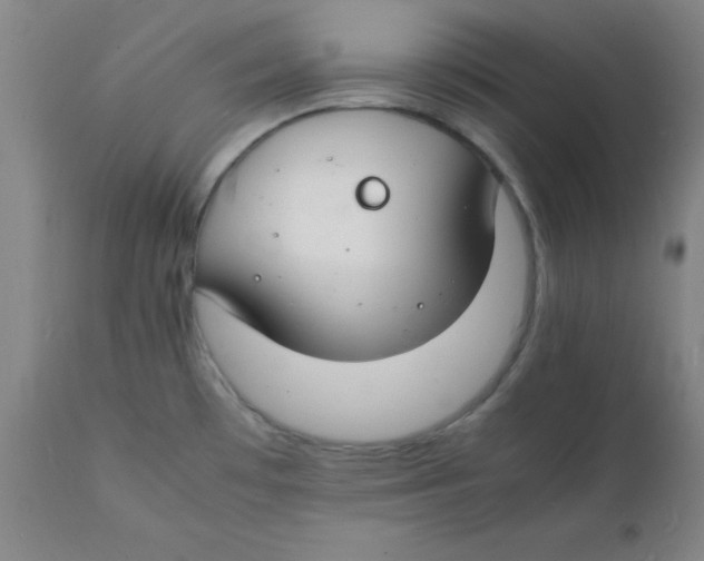 X0000112151481200909041051